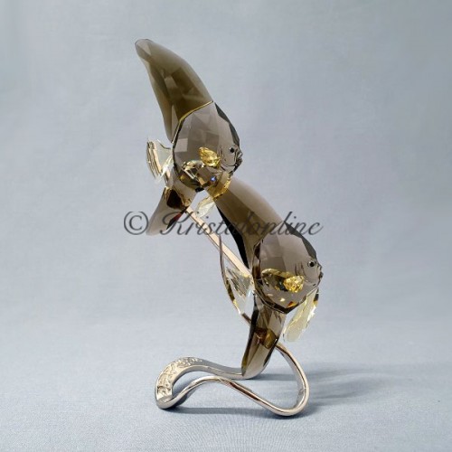 Swarovski Crystal | Crystal Paradise | Batfish 1036571